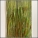Custom Closeout 32" Tinsel #34